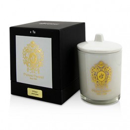 Tiziana Terenzi Glass Candle with Gold Decoration & Wooden Wick - Lillipur (White Glass) 170g/6oz