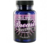 BREAST SUCCESS All Natural Breast Enlargement Pills - 90 Capsules (1 Bottle)