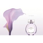 Sheer Beauty Essence by Calvin Klein Eau De Toilette for Women 100ml EDT Spray