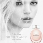 Sheer Beauty by Calvin Klein Eau De Toilette for Women 50ml EDT Spray