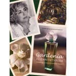 Gardenia Elizabeth Taylor by Elizabeth Taylor Eau De Parfum for Women 100ml EDP Spray